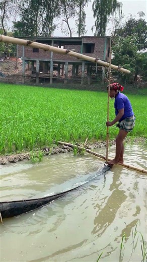 paddy field Old Traditional water Irrigation System