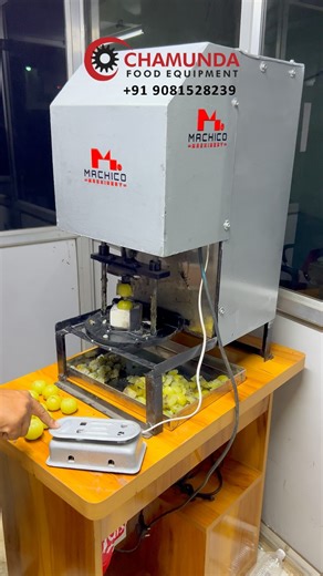 amla seed remover machine | amla cutting machine | automatic amla seed remover | indian gooseberry