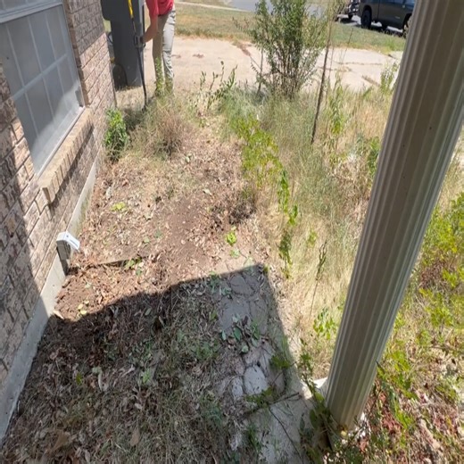 16 reactions | I made the neighbor CRY with this LAWN TRANSFORMATION1 | Gardening Family | Facebook