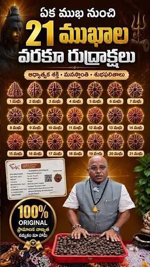 21 Mukhi Rudraksha Collection 😲 | 100% Original & Certified | #rudraksha #karungali #crystalstone