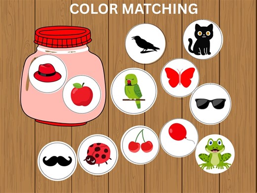 Toddler Color Sorting Activities, Montessori Busy Book Printable (digital Download) - Etsy