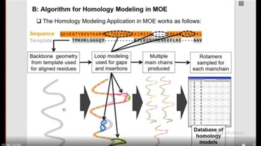蛋白结构预测及分析