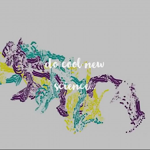 multi-animal DeepLabCut 2.2