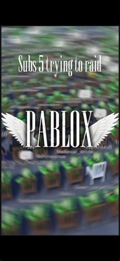 First edit on this account and insult me I know it’s bad 😭 #edit #flamingo #roblox #raid #fyp