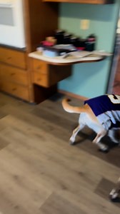 1.5K views · 27 reactions | Straight to the end zone she goes鸞 | Tim Tim | Facebook