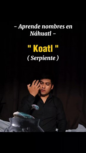 756K views · 27K reactions | Nombres de animales, aves, insectos en Náhuatl, espero lo repitan conmigo, si se quedan atrás pueden repetir el video. ❤️ #nahuatl #nombres #animales #insectos #aves #indigenas #idiomas #culturamexicana #educativo #creatividad #editarvideos #Hueycuatitla #Huasteca #Veracruz #Hidalgo #HuastecaPotosina #vibora #aprender #LenguasVivas #mexico #mexicanos #raicesmexicanas | Bryan Limajtzintla | Facebook