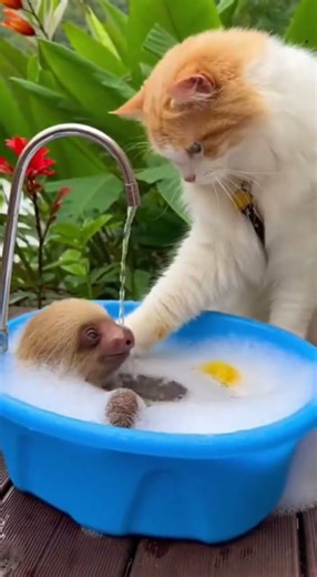 The video features a small monkey, dressed in a pink pajama style outfit, 3