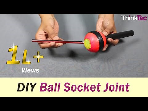 Body Joints - Ball-Socket Joint | ThinkTac | Science Experiments