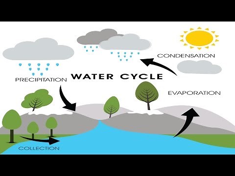 Water Cycle | Brain and Body Builders | Jack Hartmann