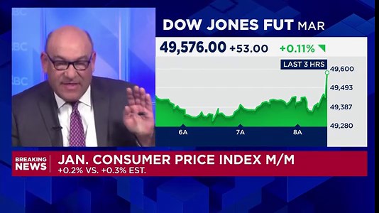 Consumer prices rose 2.4% annually in January, less than expected
