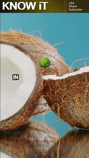 10 Fascinating Facts About Coconut | KNOW iT
