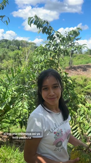 Chirimoya o anona ? #fyp #chirimoya #agricultura #campo