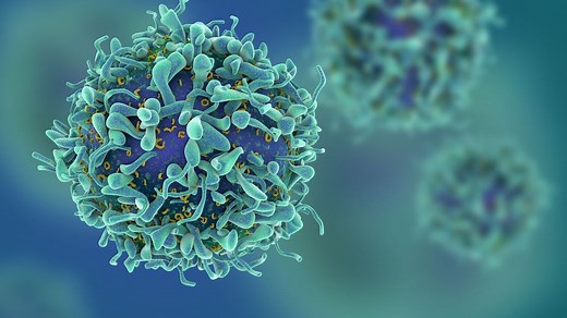 Lymphocytes (élevés ou bas) : quels risques ?