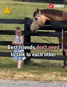 749K views · 10K reactions | Horses have gentle natures, even with little ones ❤️ | WTVideo | Facebook