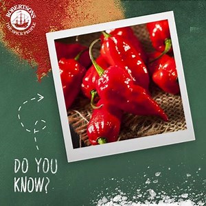 Quick quiz: who knows what the world famous spice, PAPRIKA is made from? If you use it you should know. Ready, steady, PLAY! A) Ghost Peppers B) Bell Peppers C) Birds Eye Chilli | Robertsons Herbs & Spices