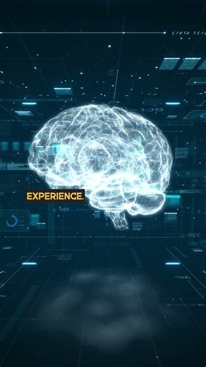 The Mystery of Consciousness: Why Are We Aware at All? 🌀🧠🔍 Dive into one science