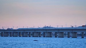 With the island full of the beauty of spring throughout the year, Xiamen enjoys brand-new scenery everywhere. People in Xiamen have engraved the romance of life under their feet. With beaches stretching like soft lines, and the sea and the sky merging into one, Xiamen is a place full of floral fragrance and clear water with gorgeous scenery. Let’s exchange a beautiful photo you have taken in #Xiamen. | China Xiamen | Facebook