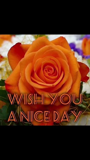 #foryoupage❤️❤️#goodmorningeveryone☕️☕️❤️🙏🌄#bollywoodclassicsong❤️❤️viral#trending#englandtiktok🇬🇧🇬🇧