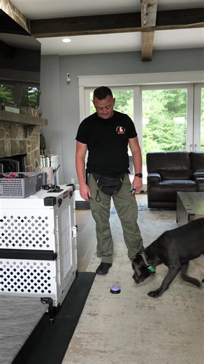 55K views · 1K reactions | Your dog can tell you when it’s time to go...