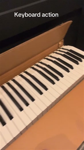 Scott Joyce on Instagram: "Found same old keyboard action. #piano #fatar #keyboard"