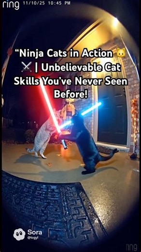 “Ninja Cats in Action 🐱⚔️ | Unbelievable Cat Skills You’ve Never Seen Before #cpstech