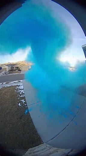 blue paint bike surprise 😳💙🚲 (caught on ring camera)