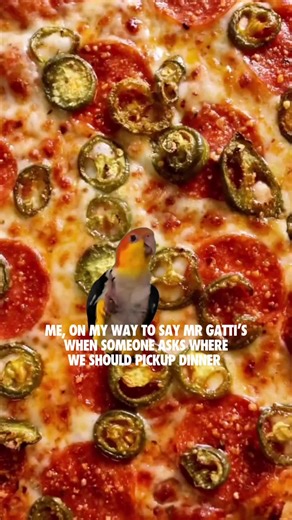 You're our favorite kind of person, you know that? Come pickup some pizzas at Mr Gatti's for all your group dinner needs! Right now get 50% OFF All Large Pizzas when you order online for carryout! Order now: gattispizza.hungerrush.com Promo code: SAVE50