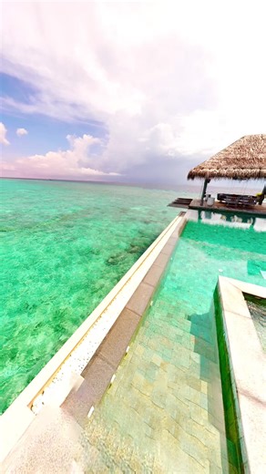 willow, Anya’s wife❤️🧡🤍💜♥️ (@anyamynursewife)’s videos with EmiLy - Emily Montes