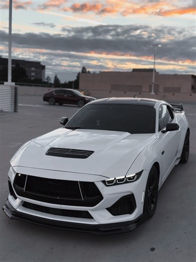 Explore the Power of the Ford Mustang S650