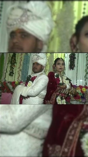 #short #wedding #love #weddingphotography #viral #song #viralshorts #catlife #catvideos #marriage