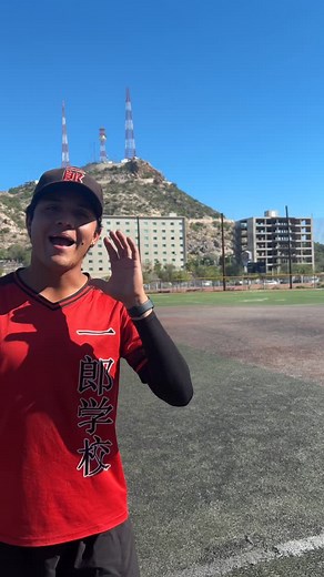 Explicación del término gavilán en el béisbol o softball #beisbol #softball #fastpitch #slowpitch | Ichiro Academia