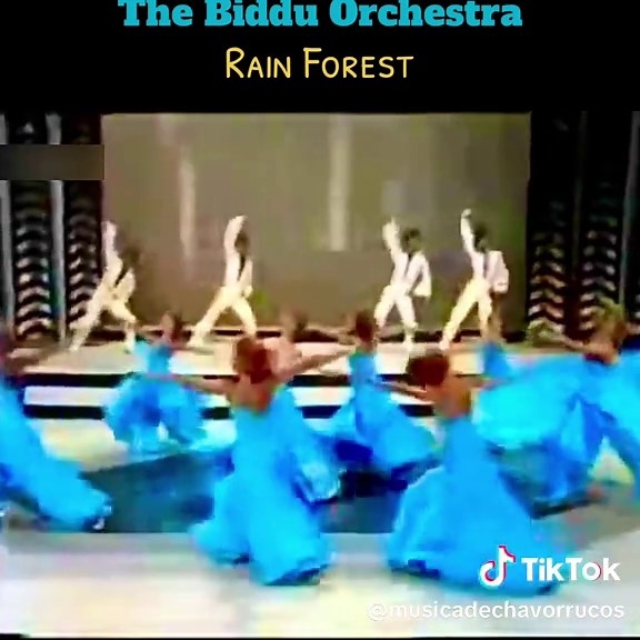 Biddu Orchestra: Rain Forest Instrumental Classics