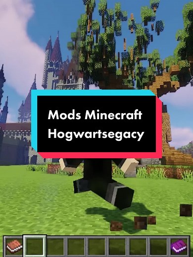 Minecraft Hogwarts Legacy #minecraft #harrypotter #hogwartslegacy