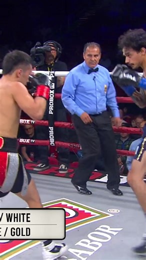 Tsendbaatar Erdenebat Secures 13-0 Win After 10 Rounds