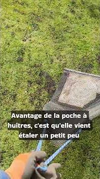 Comment regarnir votre pelouse / gazon ? #jardin #gazon #pelouse