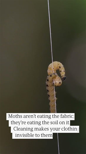 Professional Dry Cleaning: 3 Tips That Help Protect Your Spring Wardro... #Shorts