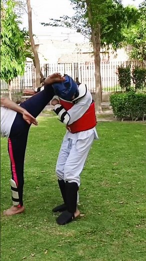 Perfect Taekwondo Hook Kick Execution 🥋💥 | Power & Precision in Action!