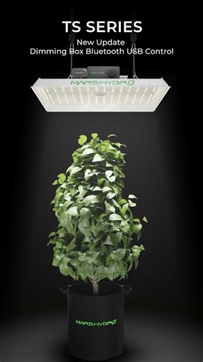 Mars Hydro Updated TS Series Dimming Box 🔧 #marstech #marshydro #marshydroreview #ledgrowlights