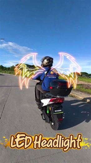 Saige e-bike - leopard 2 wheels electric bike with 1200 watts