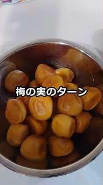 【1分解説】 超低塩梅干し〜③カビ対処編〜 12年目？の梅干し作りスタート！ #梅干し #低塩 #梅仕事