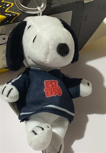 Discover the Cutest Snoopy Keychain Unboxing