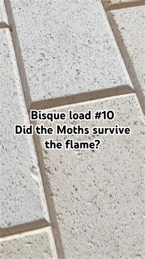 Bisque load #10 Part 1 White Moth transfers on black Engobe 😍