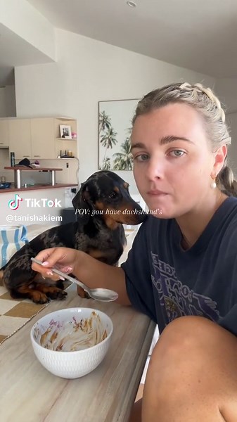 The Funniest Dachshund Video Ever 😆🫶🏼 | #Dachshunds #DogTok