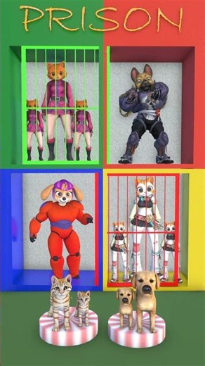 🎶🐶🐈THE TEAM THAT JUMPES WILL WIN ?#dog #cat #cute