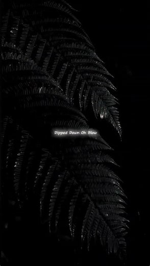 Nathan Evans - Wellerman (Sea Shanty) | lyrics