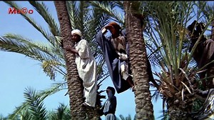 Maurice Jarre - The Message Soundtrack (Çağrı Film Müziği HQ) Mu©o