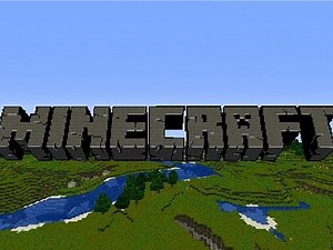 Minecraft Spot The Item