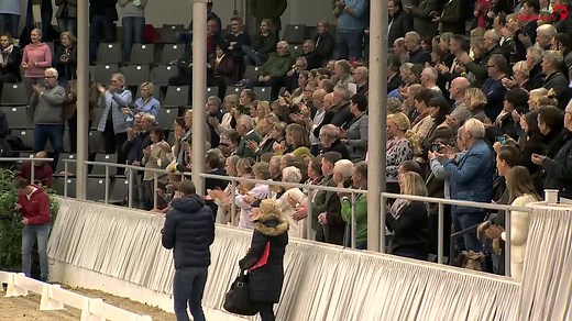 Das Rheinland steht Kopf 🤩 Der rheinische Hauptvererber Fidertanz wurde gestern vom Hannoveraner Verband e.V. mit dem Titel „Hannoveraner Hengst des Jahres „🏅 ausgezeichnet!👏🥳 Was für eine Vita kann dieser Spitzenhengst aus der Zucht von Familie Schult vorweisen!🔝💯 Selbst vielfach in schweren Dressuren bis zum Grand Prix Spezial erfolgreich 🏆, 145 seiner Nachkommen bis zur Klasse S erfolgreich, 109 Prämienstuten und 54 gekörte Söhne, darunter auch eine ganze Reihe mit prominentem Status, 