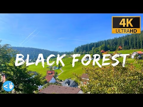 Explore the Stunning Black Forest of Germany in 4K!