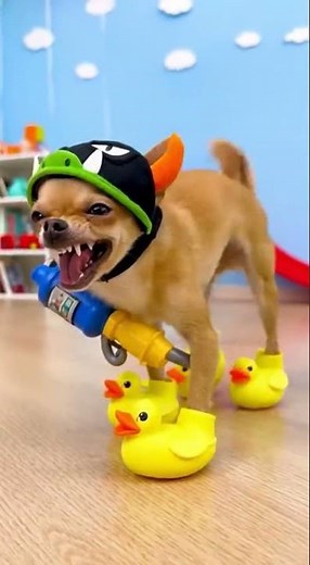 Chihuahua’s Smelly Prank FAILS—Mama Monkey Strikes Back #sora #Gemini #AI